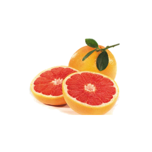 Grapefruit PNG-15238